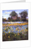 The Enclosed Cottages in the Iris Field by Timothy Easton