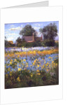The Enclosed Cottages in the Iris Field by Timothy Easton