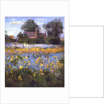 The Enclosed Cottages in the Iris Field by Timothy Easton