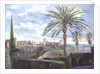 Towards the Alhambra by Timothy Easton