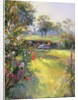 The Morning Letter by Timothy Easton
