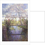 The Trellis Crossing by Timothy Easton