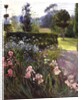 In the Garden - June by Timothy Easton