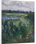 Across Great Green, Burgate, 1992 by Timothy Easton