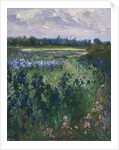 Across Great Green, Burgate, 1992 by Timothy Easton