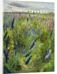 Delphiniums and Emerging Sun, 1991 by Timothy Easton