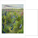 Delphiniums and Emerging Sun, 1991 by Timothy Easton