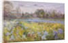 Iris Field in the Evening Light, 1993 by Timothy Easton