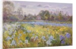 Iris Field in the Evening Light, 1993 by Timothy Easton