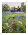 Dwarf Irises and Cottage, 1993 by Timothy Easton
