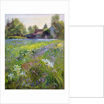 Dwarf Irises and Cottage, 1993 by Timothy Easton