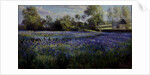 Dappled Light on the Iris Field, 1991 by Timothy Easton