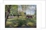 In the Rectory Paddock, 1993 by Timothy Easton