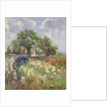 White Barn and Iris Field, 1992 by Timothy Easton