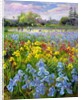 Hoeing Team and Iris Fields, 1993 by Timothy Easton