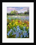 Hoeing Team and Iris Fields, 1993 by Timothy Easton