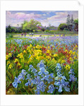 Hoeing Team and Iris Fields, 1993 by Timothy Easton