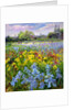 Hoeing Team and Iris Fields, 1993 by Timothy Easton