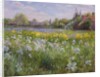 Bonfire and Iris Field, 1993 by Timothy Easton