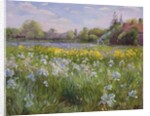 Bonfire and Iris Field, 1993 by Timothy Easton