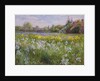 Bonfire and Iris Field, 1993 by Timothy Easton