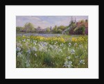 Bonfire and Iris Field, 1993 by Timothy Easton