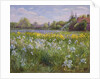 Bonfire and Iris Field, 1993 by Timothy Easton