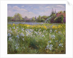 Bonfire and Iris Field, 1993 by Timothy Easton