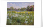 Bonfire and Iris Field, 1993 by Timothy Easton