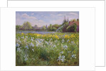 Bonfire and Iris Field, 1993 by Timothy Easton