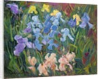 Irises: Pink, Blue and Gold, 1993 by Timothy Easton