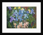 Irises: Pink, Blue and Gold, 1993 by Timothy Easton