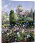 Irises in the Formal Gardens, 1993 by Timothy Easton