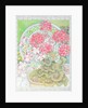 Pot of Geraniums by Lillian Delevoryas