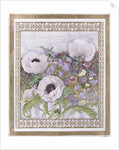 Salcombe Poppies by Lillian Delevoryas