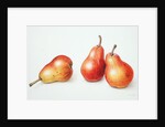 Red Pears, 1996 by Margaret Ann Eden