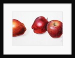 Red Apples, 1996 by Margaret Ann Eden