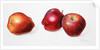 Red Apples, 1996 by Margaret Ann Eden