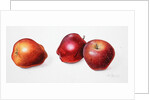 Red Apples, 1996 by Margaret Ann Eden