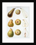 Six Pears, 1994 by Margaret Ann Eden
