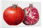 Pomegranate, 1995 by Margaret Ann Eden