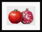 Pomegranate, 1995 by Margaret Ann Eden