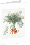 Carrots, 1995 by Margaret Ann Eden