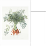 Carrots, 1995 by Margaret Ann Eden