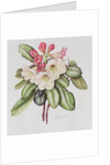 Rhododendron by Margaret Ann Eden