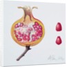 Cut Pomegranate by Margaret Ann Eden