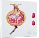 Cut Pomegranate by Margaret Ann Eden
