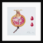 Cut Pomegranate by Margaret Ann Eden