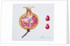 Cut Pomegranate by Margaret Ann Eden