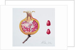 Cut Pomegranate by Margaret Ann Eden